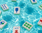 Travel Mahjong Tiles - Pickleball